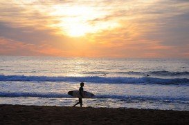 Warriewood Beach, Warriewood