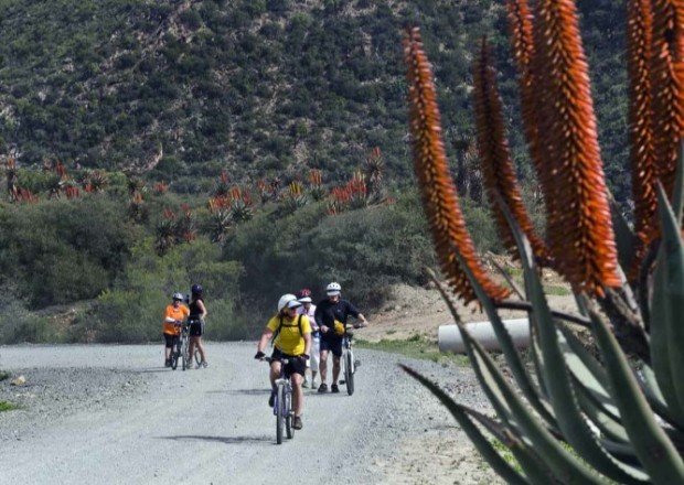 "Willowmore, Baviaanskloof Mountain Biking"