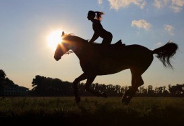 "Yosemite National Park Horseback Riding"