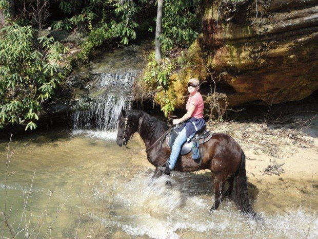 "Riding a friendly horse through a small lake at Yosemite National Park"