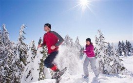 Le Valinouet Saint David de Falardeau