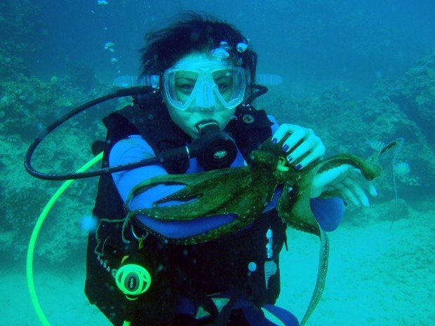 "Alua Beach Scuba Diving"