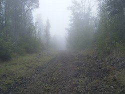 Ainapo Trail, Mauna Loa