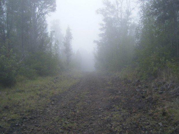 "Biking the Ainapo Trail"