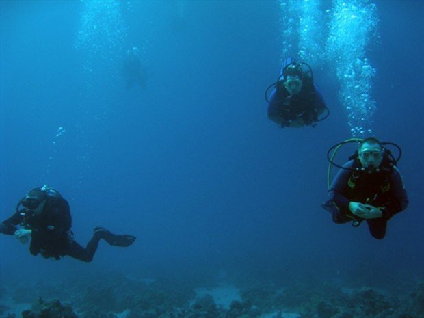 "Cadwallon Wreck Scuba Diving"