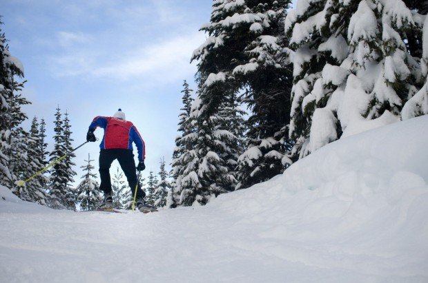 "Cooper Spur Ski Area, Cross Country Skiing"
