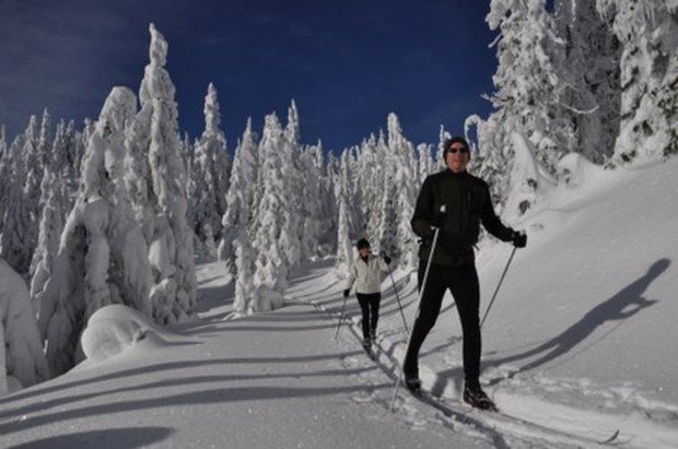 "Cross Country Skiers at Mont Orignal"