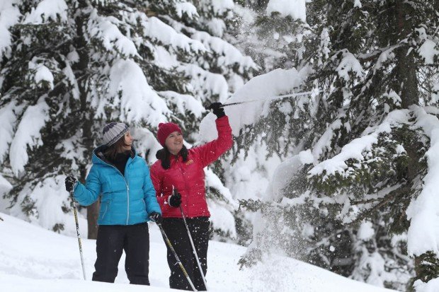 "Cross Country Skiing at Mont Cascades"