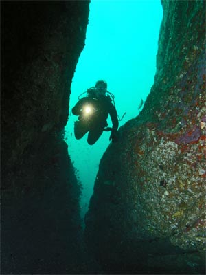 "Dee Why Wide Scuba Diving"