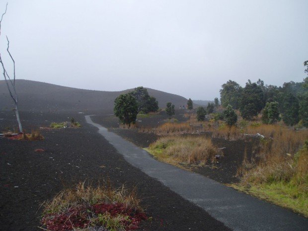 "Devastation Trail Hike"