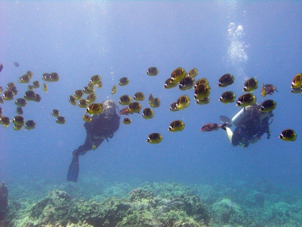 "Diving Kailua Bay"