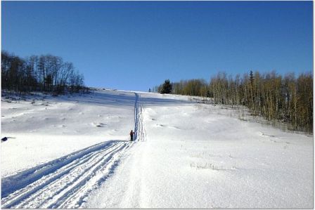 "Elk Lake Resort, Cross Country Skiing"