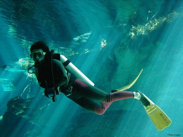 "False Bay Scuba Diving"