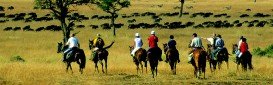 Maasai Mara National Reserve, South Rift Valley