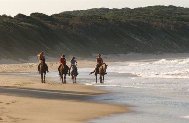 "Horseback Riding at Langebaan Lagoon"