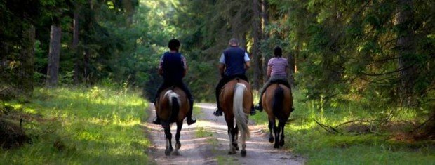 "Horseback Riding at Swansea'