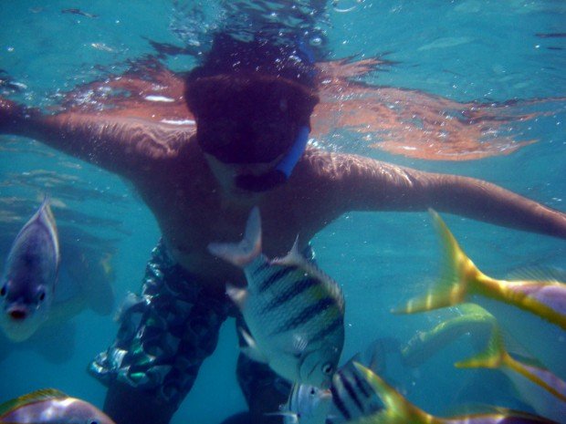 "Ilha Grande Snorkeling"