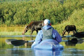 Mont Orford National Park, Orford