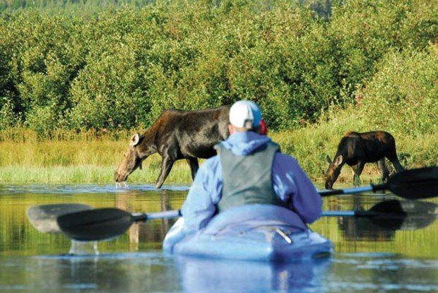 "Kayaker at Mont Orford National Park"