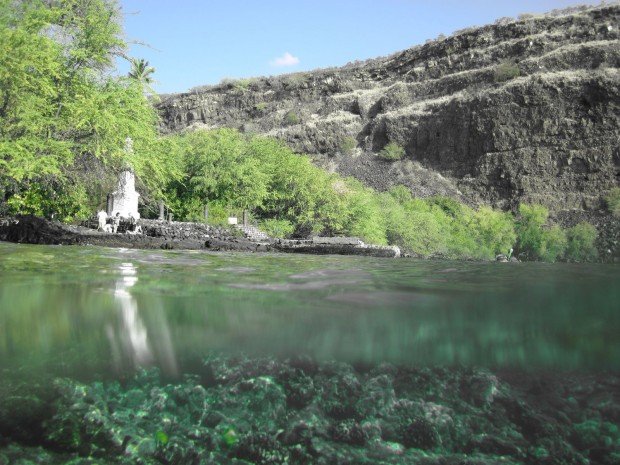 "Kealakekua Bay Snorkeling"