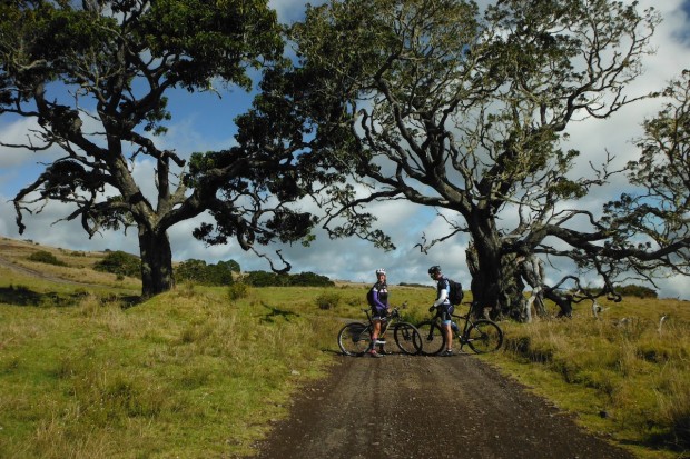 "MTB at Mana Road Route Hawaii"