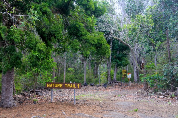 "Manuka Natural Trail Hiking"