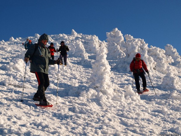 "Mont Grand Fonds Snowshoeing"