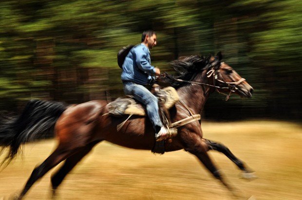 "Mont Orford National Park Horseback Rider"