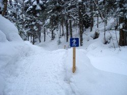 Centre de Ski Mont Castor, Matane