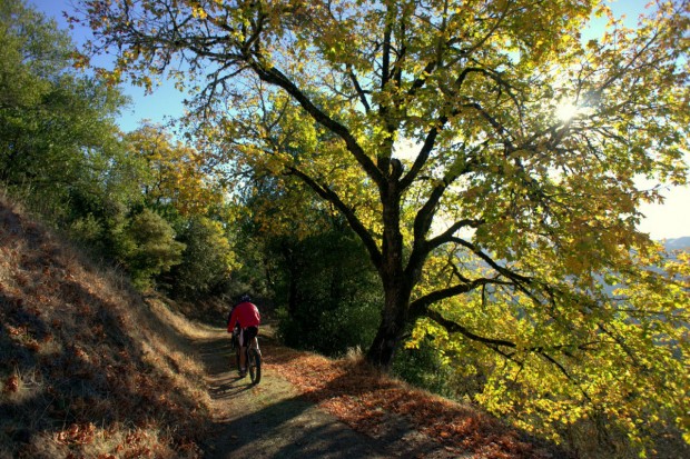 "Mountain Biking at Hell's Gate National Park"