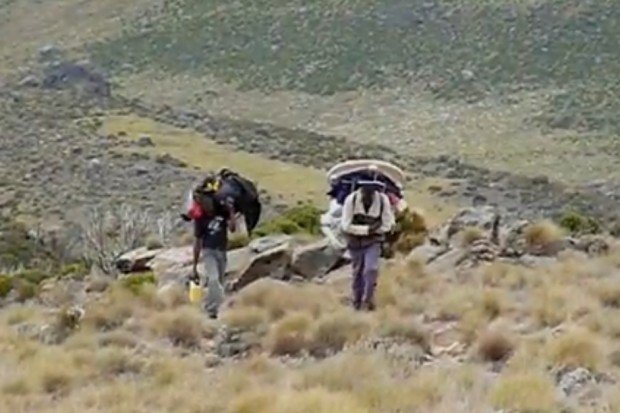 "Mt. Kenya Mountain Extreme Hiking - Hiking"