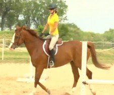 Dome Horse Trails, Vredefort Dome