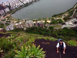 Tijuco Forest, Rio de Janeiro