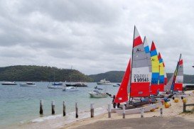 Palm Beach, Pittwater