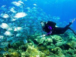 Baluba Reef, Bazaruto Archipelago