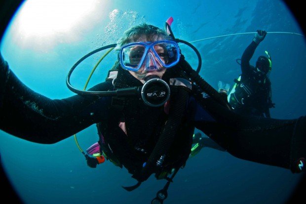 "Scuba Diving Horse Shoe Reef"