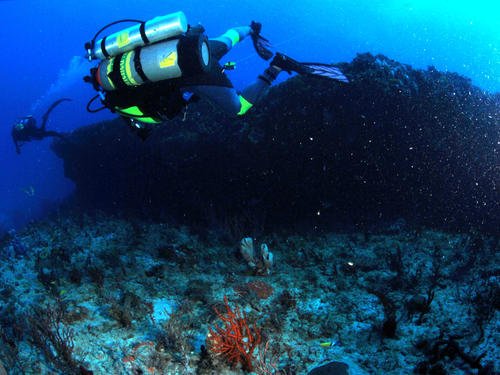 "Scuba Diving at Palm Beach Sydney"