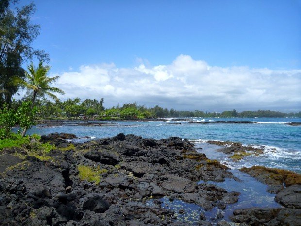 "Scuba Diving at Richardsons Beach"