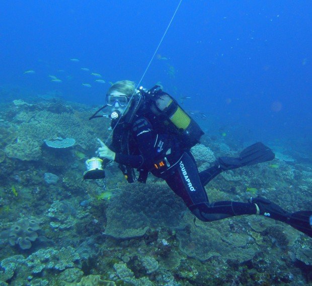 "Scuba diving in Marico Oog"