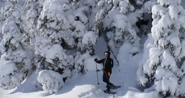 "Ski Mont Orford Snowshoer"