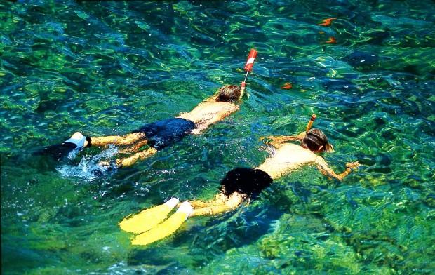 "Snorkeling Mauna Kea Beach"