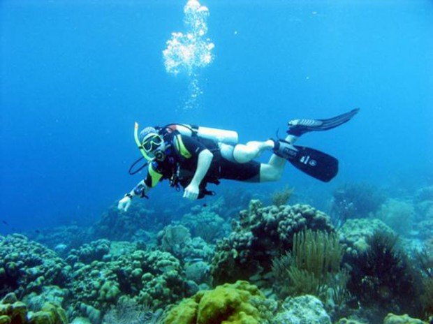 "Snorkeling at Chappaquoit Beach"