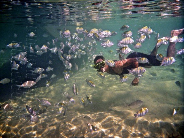 "Snorkeling at Ilha Grande"