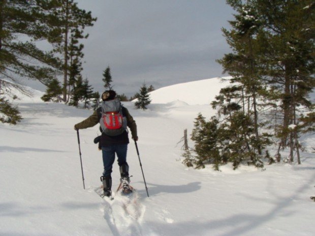 "Snowshoeing the area"