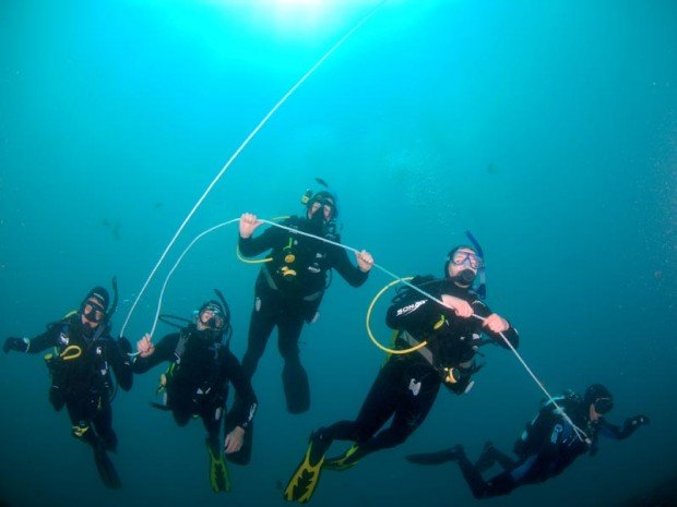 "Sponge Gardens, North Head Scuba Diving"