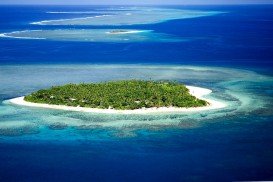 Cloudbreak Reef, Tavarua Island