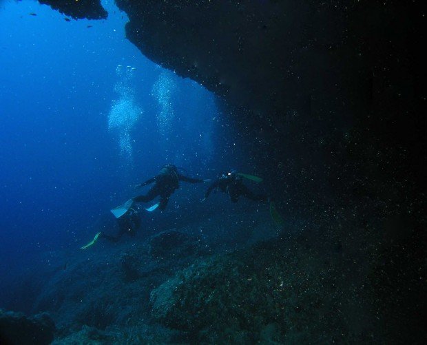 "Swansea Scuba Divers"