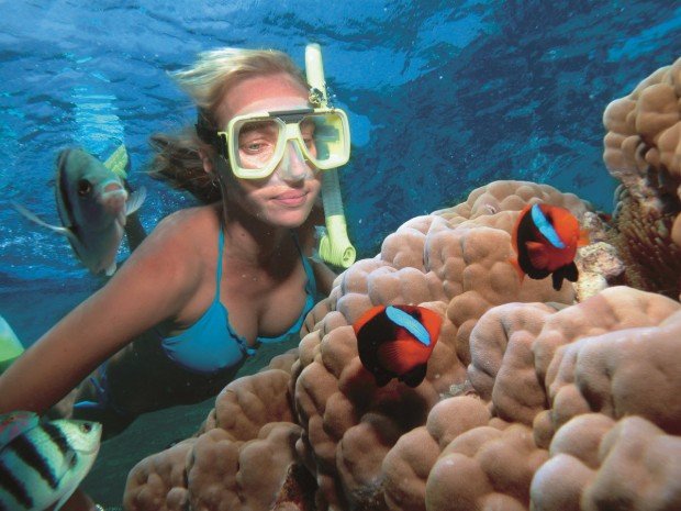 "Two Mile Reef Snorkeling"