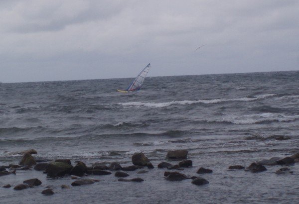 "Windsurfing at North Scotland"