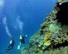 Tumbledown Reef, South Head